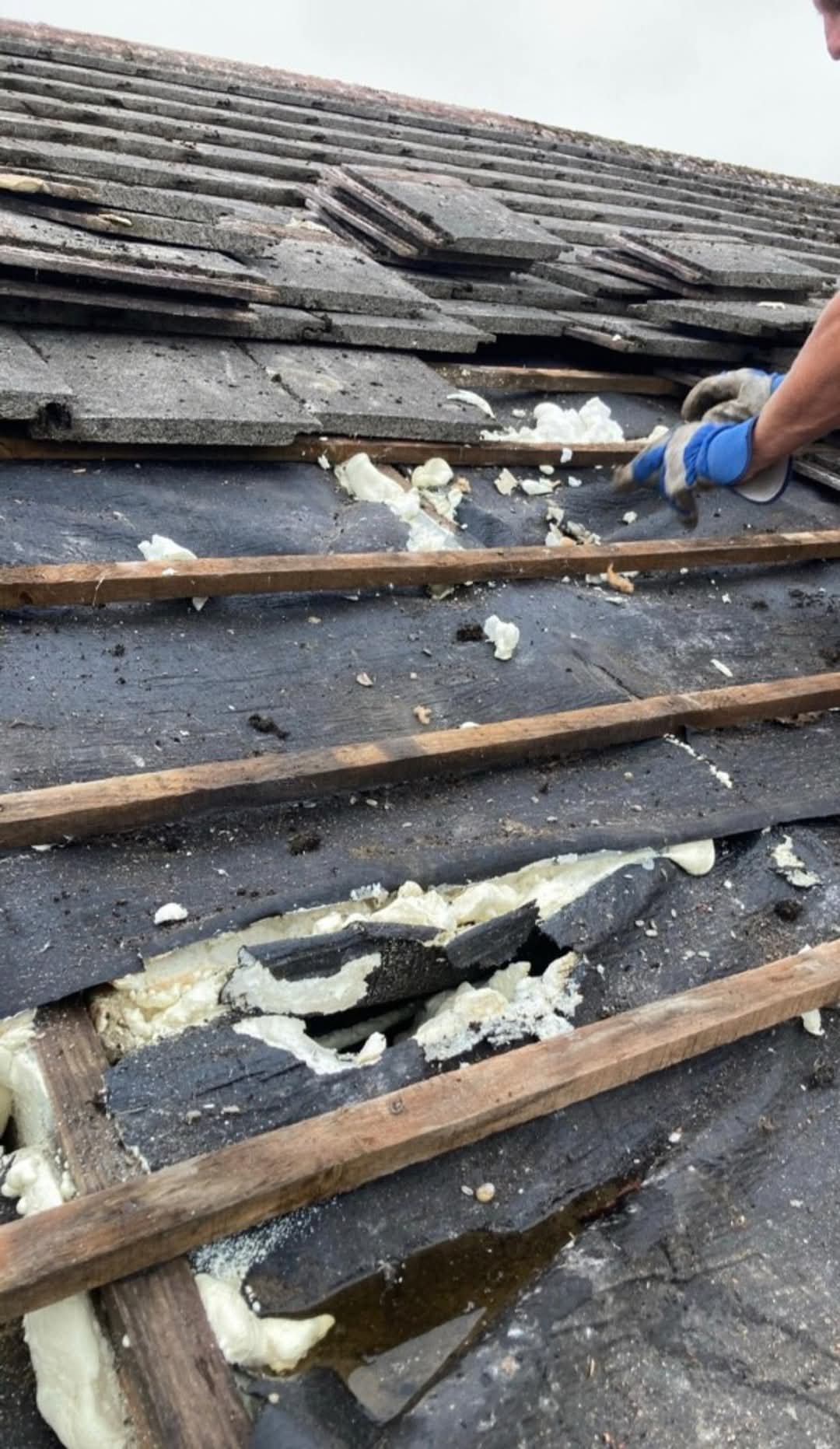 Roof Repairs